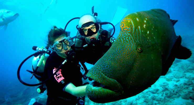 Водный спорт в Гоа: дайвинг и кайтсерфинг