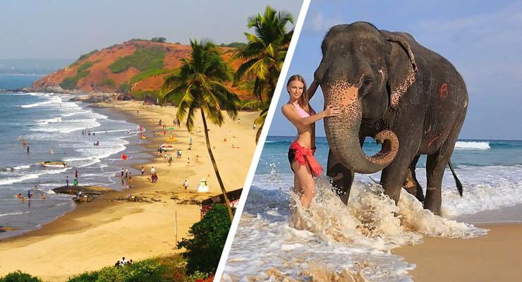 Зачем люди ездят на Гоа