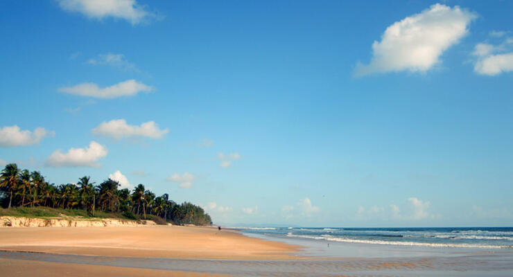 Маджорда (Южный Гоа): спокойный пляж, история и вкусная гастрономия