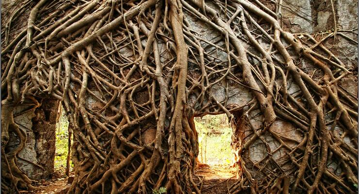 Форт Реди (Яшвантгад): как добраться из Гоа, история и лучшие виды