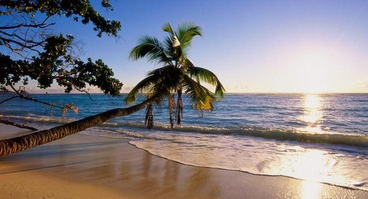 Пляжи Южного Гоа: полный гид по выбору, отдыху и маршрутам