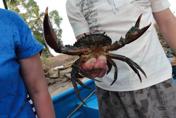 Речная прогулка и ловля крабов в Гоа