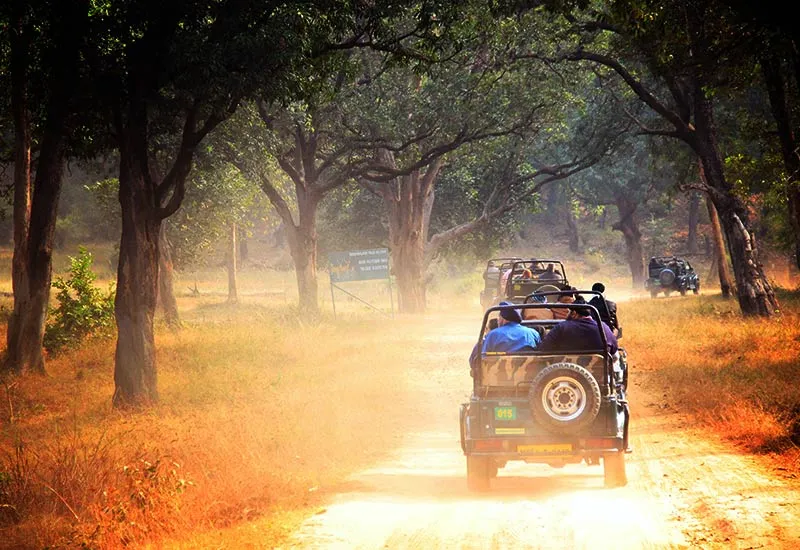 jeep safari shimoga