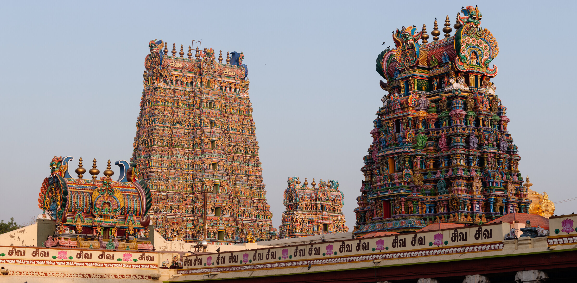 minakshi madurai