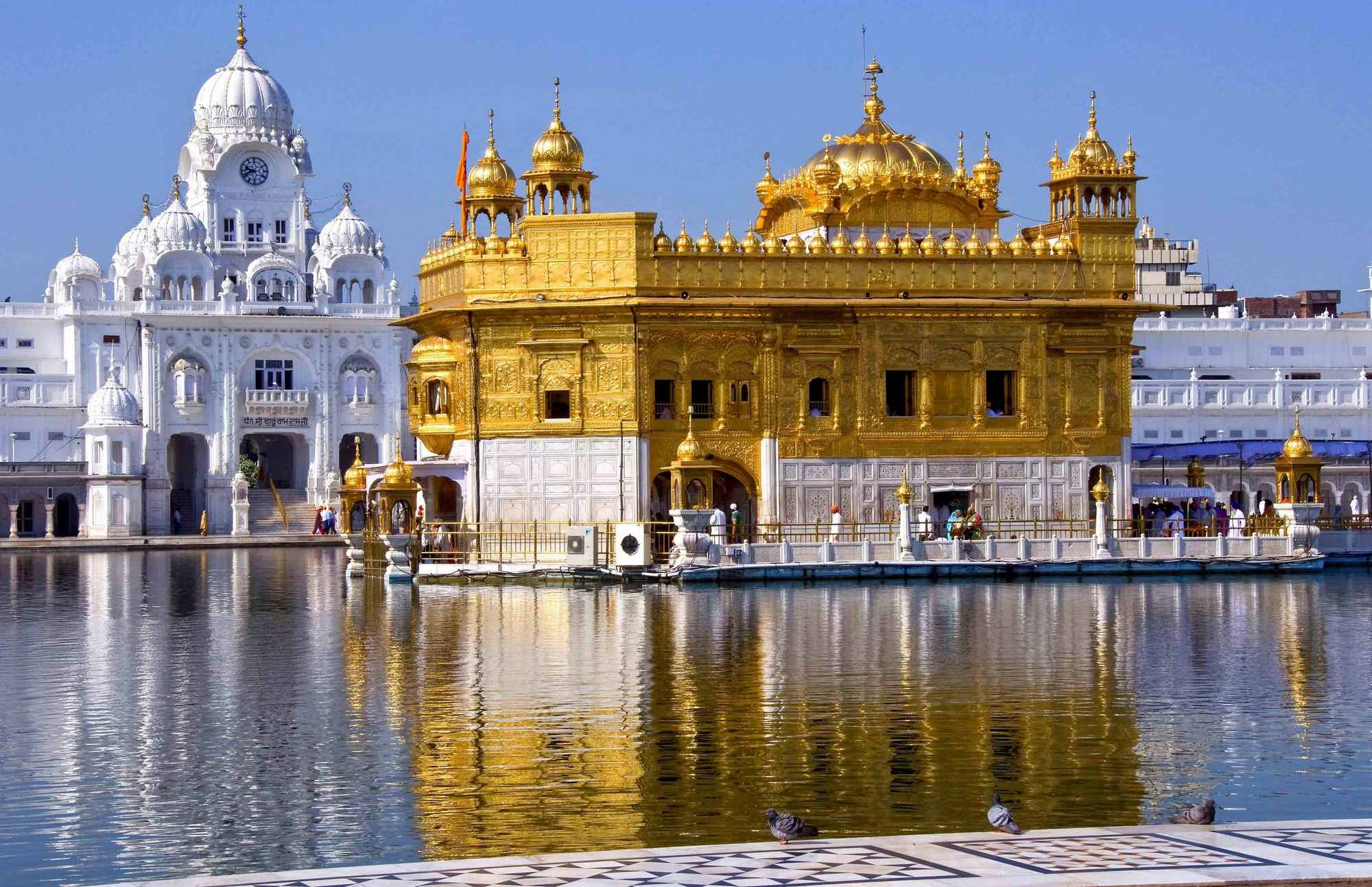 Лангар в Золотом храме Амритсара