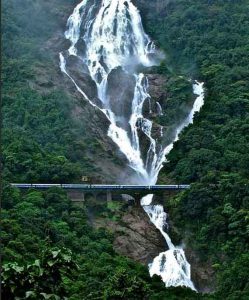Водопад Дудхсагар, Гоа