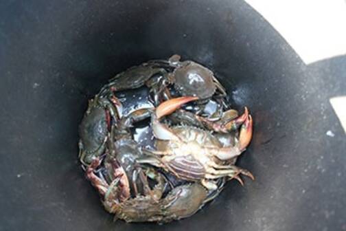 Ловля крабов на реке Нерул