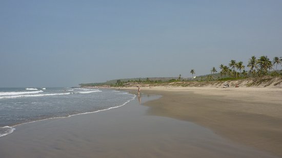 Пляж Морджим в устье реки Чапора: песчаная коса и пальмы