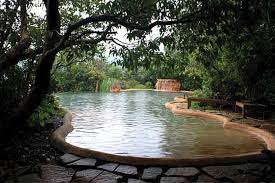 Экокоттеджи в горах на границе Гоа и Карнатаки